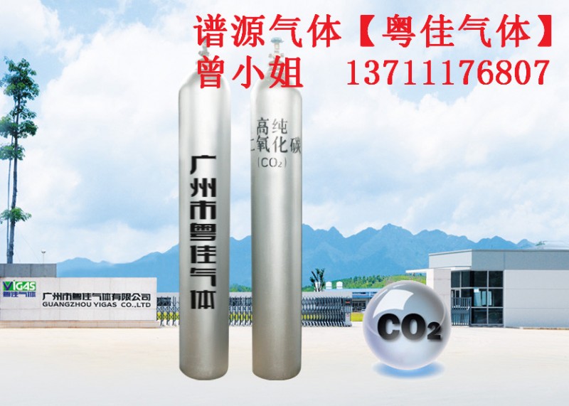 广州二氧化碳 高纯二氧化碳纯度  CO2气体厂家