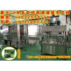 12頭全自動膏液灌裝生產線_膏液體灌裝旋蓋生產線--星火合肥