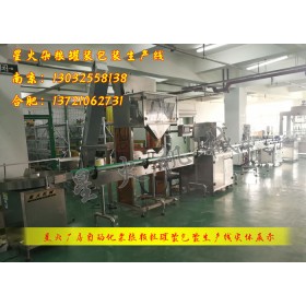 雜糧罐裝生產線/全自動顆粒罐裝生產線--星火合肥罐裝生產線