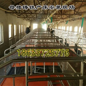 重庆巫溪铸铁母猪产床仔猪栏高床养猪设备设计