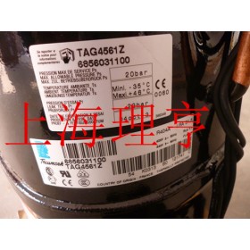 TAG4561Z   法国泰康压缩机