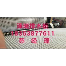 現(xiàn)貨供應(yīng)）溫州車庫(kù)排水板/綠化蓄排水板（廠家直銷