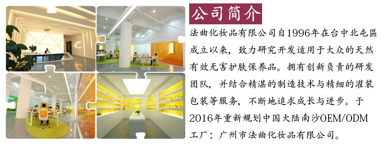 公司簡介