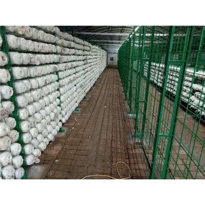 大棚养殖蘑菇网架焊接铁丝网厂家生产设计