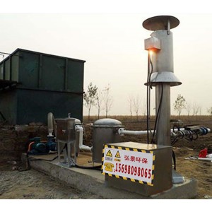 垃圾填滿場內(nèi)燃式沼氣火炬型號全質(zhì)量好