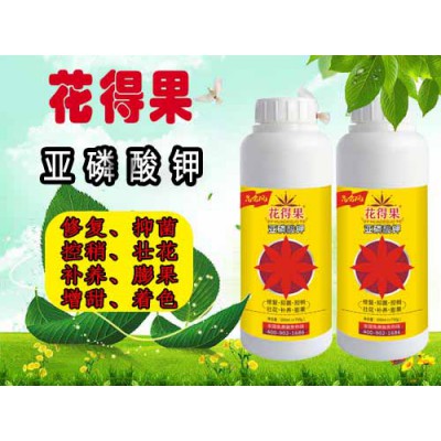 亞磷酸鉀和磷酸二氫鉀的區別
