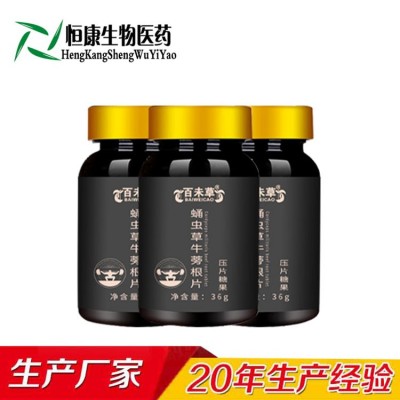 蛹蟲草牛蒡根片  OEM貼牌代加工山東恒康
