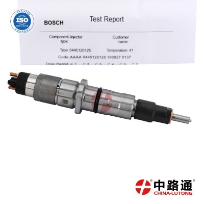 博世6缸共軌噴油器0445120125