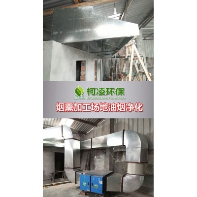 重慶油煙凈化器 南岸區上門安裝 可檢測油煙濃度和非甲烷總經
