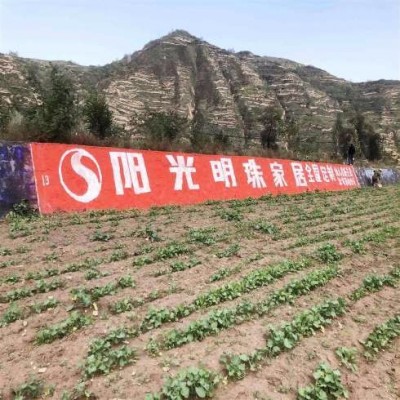 雅安農村刷墻廣告有根的時尚雅安圍墻廣告