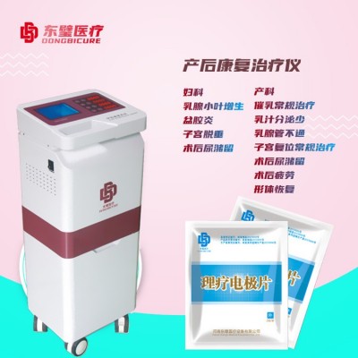 低頻產(chǎn)后治療儀 物理康復(fù)療法