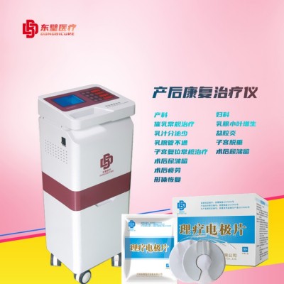 婦科產(chǎn)后治療儀 低頻物理治療儀