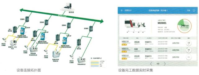 金蝶東莞