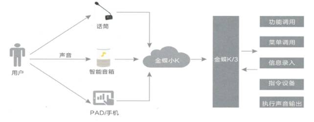 金蝶東莞