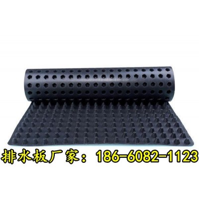 宣城塑料排水板當地廠家歡迎您
