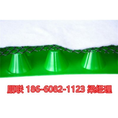 承德塑料排水板