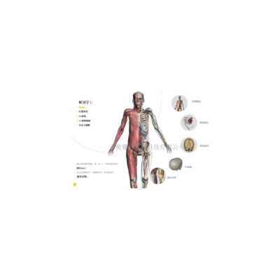 3DBody解剖学仿真虚拟实验系统