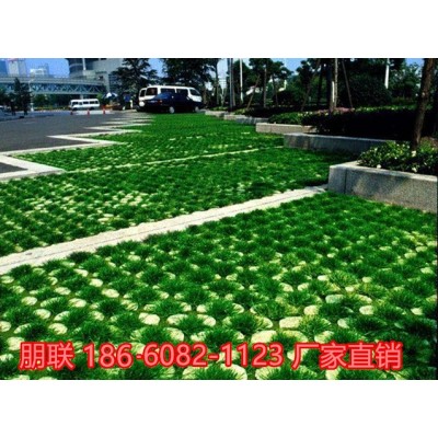 南陽(yáng)塑料植草格