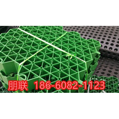 舟山塑料植草格