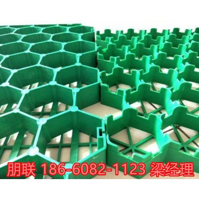 山西塑料植草格