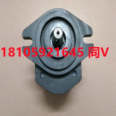 臺灣峰昌WINMOST齒輪泵GPY-3R,GPY-4R,GPY-5.8原裝全新