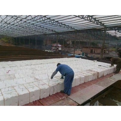 玻璃窯爐保溫硅酸鋁棉 1260陶瓷纖維模塊廠家直供