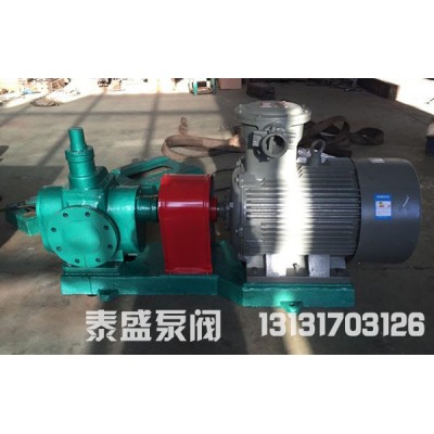泰盛高溫導(dǎo)熱油泵效率高