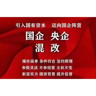 辦理國企混改具體方式操作流程周期