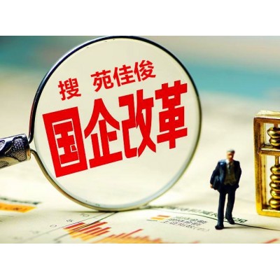 國企混改國家電力公司控股民營企業股權