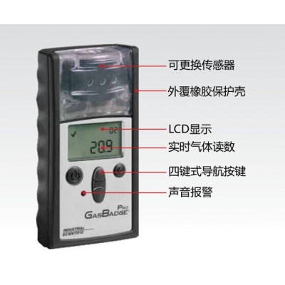 英思科GB60 H2S气体检测仪