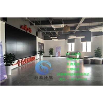 河源高新區辦公樓租擺養護多少錢 河源蔚藍環境綠化