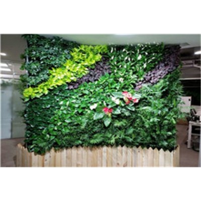室内植物墙施工 河源蔚蓝环境绿化