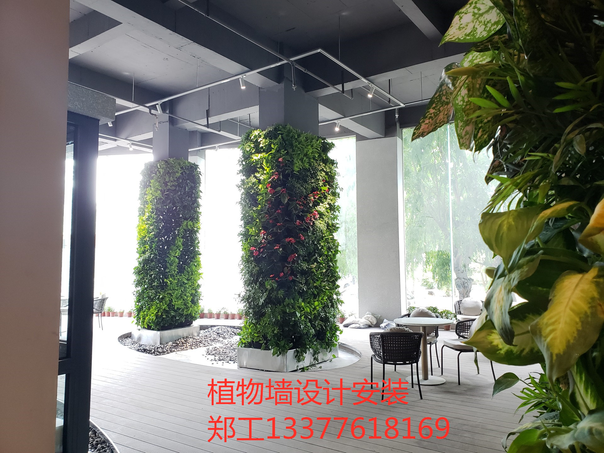 河源大廳垂直綠墻案例分享