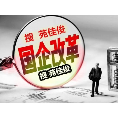 國企混改方式流程費用操作周期協(xié)議