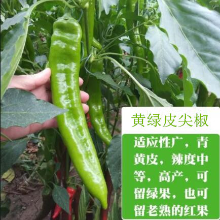 QQ截圖20190808173530_副本.jpg