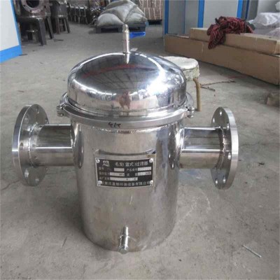 快開式毛發(fā)過濾器 籃式除污器雞西
