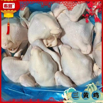 冷冻三黄鸡批发_有路食品_山东白条鸡生产厂家供应全国各地