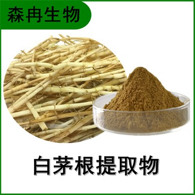 森冉生物 白茅根提取物 絲茅根提取物 植物提取原料粉