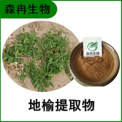 森冉生物 地榆提取物 馬胡棗提取物 全水溶原料粉