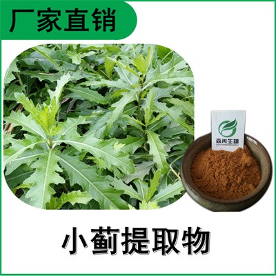 森冉生物 小薊提取物 刺兒菜提取物 全水溶原料粉