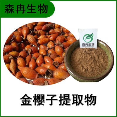 森冉生物 金櫻子提取物 刺榆子提取物 植物提取原料粉