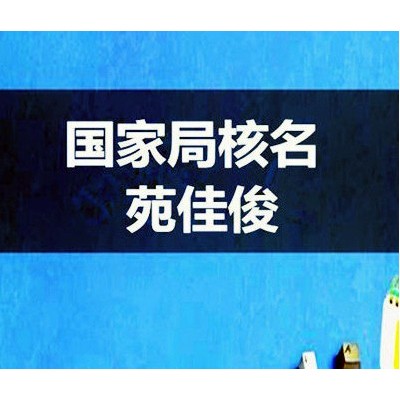 無行政區域劃分公司名稱核準流程條件