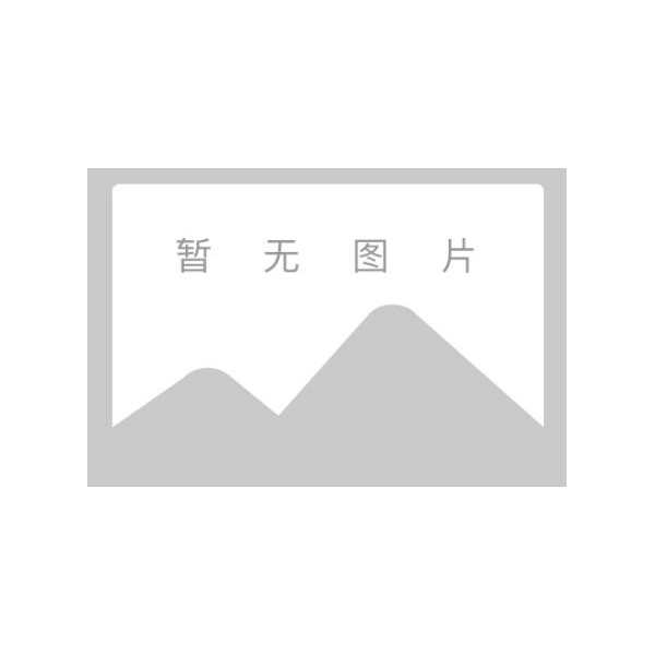电子拉力机