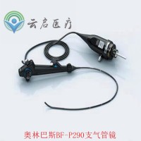 OLYMPUS奧林巴斯 BF-P290纖維支氣管鏡 鏡體進水模糊故障維修