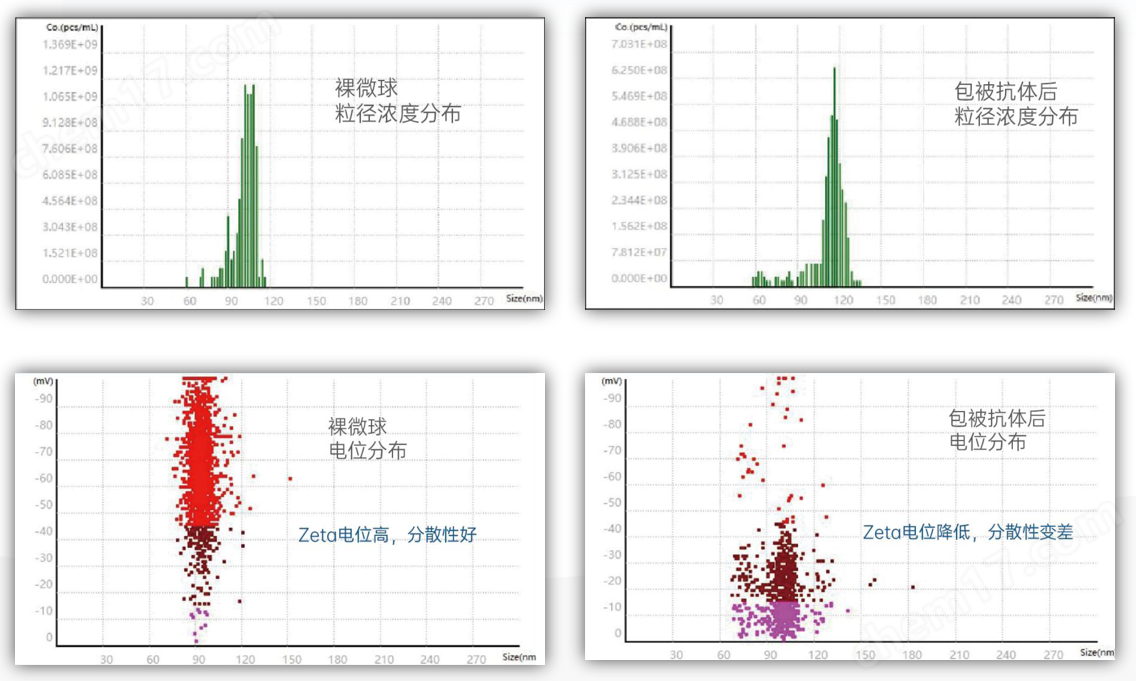 納米粒度儀（粒徑+濃度+電位）