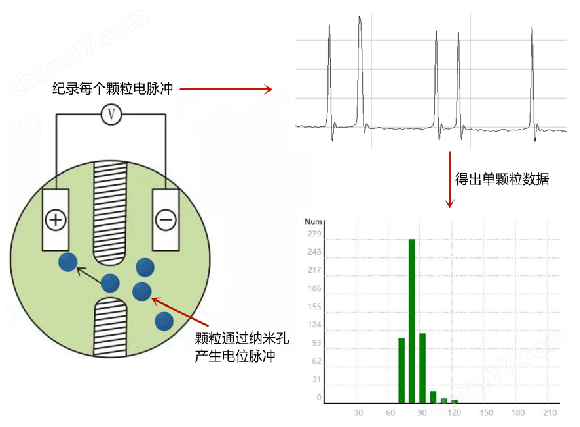 納米粒度儀（粒徑+濃度）