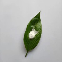 塑料專用耐磨20納米三氧化二鋁CY-L03S