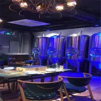 青海供应餐厅整套精酿啤酒设备啤酒厂厂家直销