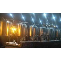 杭州精酿啤酒设备2000升啤酒设备
